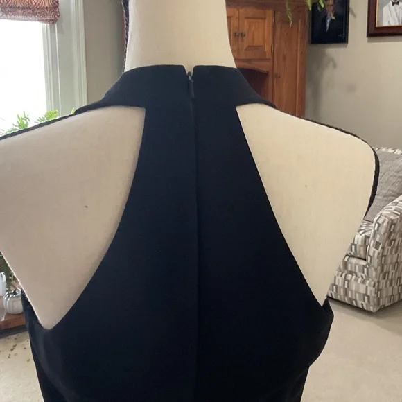 Donna Morgan Black Backless Halter Dress AND a Calvin Klein Coat - Picture 4 of 15